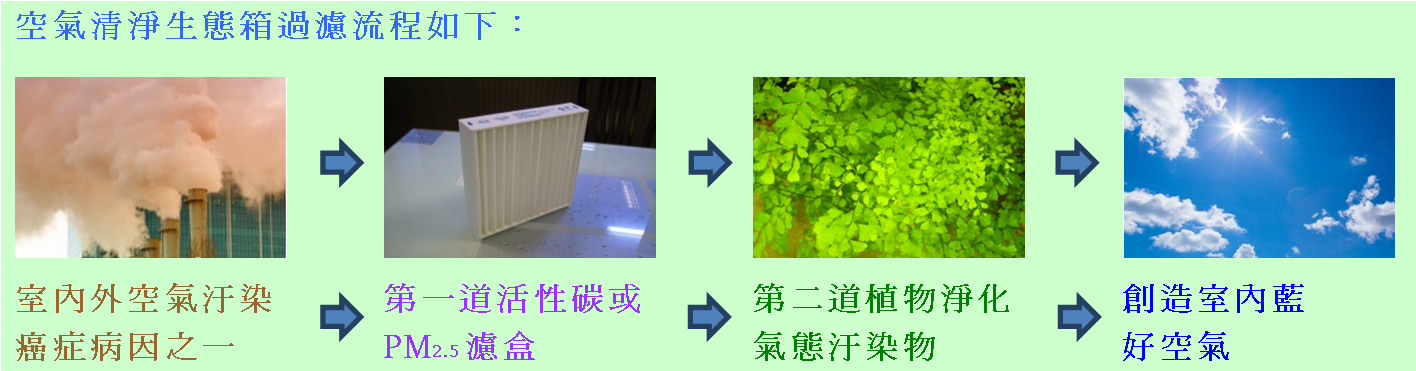 空氣清淨生態箱過濾流程圖