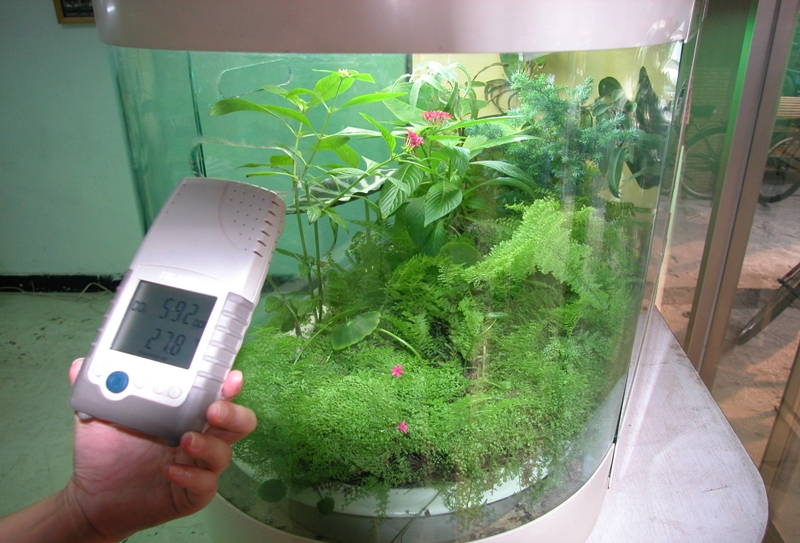 生態箱植物吸收二氧化碳